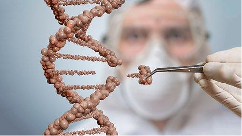NMN of W+duanlta NMN improves muscle metabolism and increases muscle gene activity